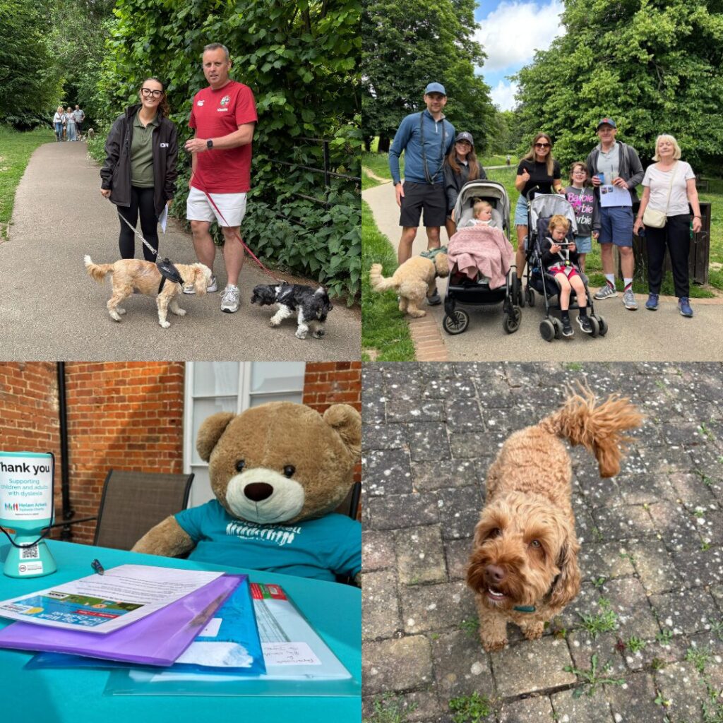 Big walk 4